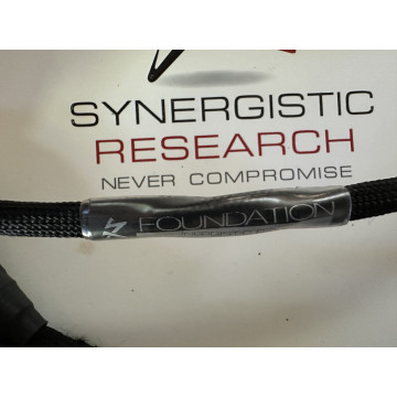 Synergistic Research Foundation