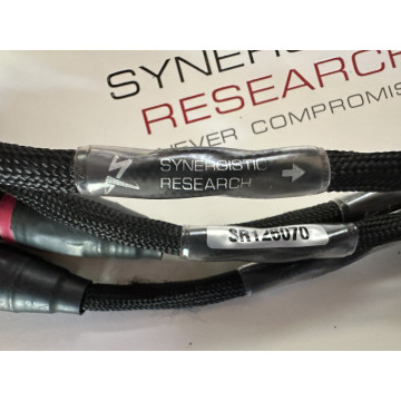 Synergistic Research Foundation
