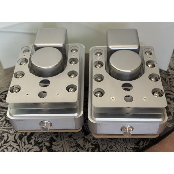 Raysonic M100