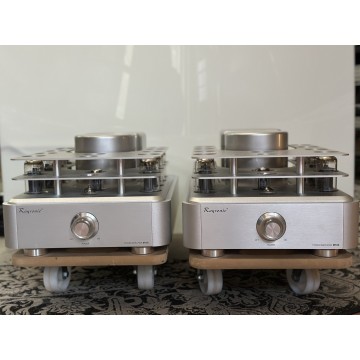 Raysonic M100