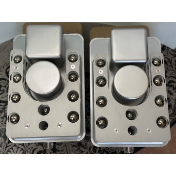Raysonic M100
