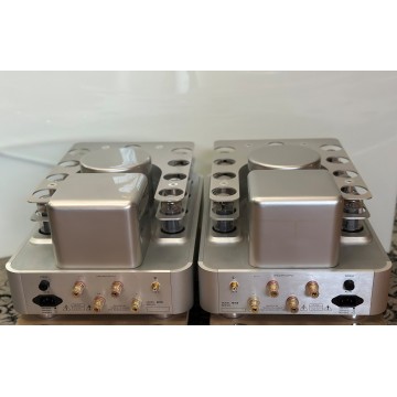Raysonic M100