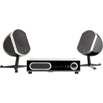 Focal Little Bird/Bird/Super Bird